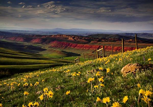 Red Canyon in Wyoming